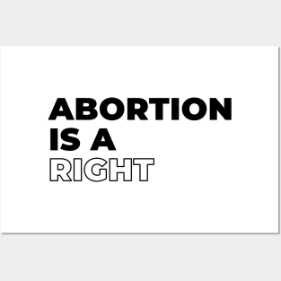 Abortion Feminist Women's Right Pro Life Human Rights Posters and Art